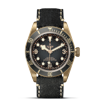 Tudor Black Bay Bronze